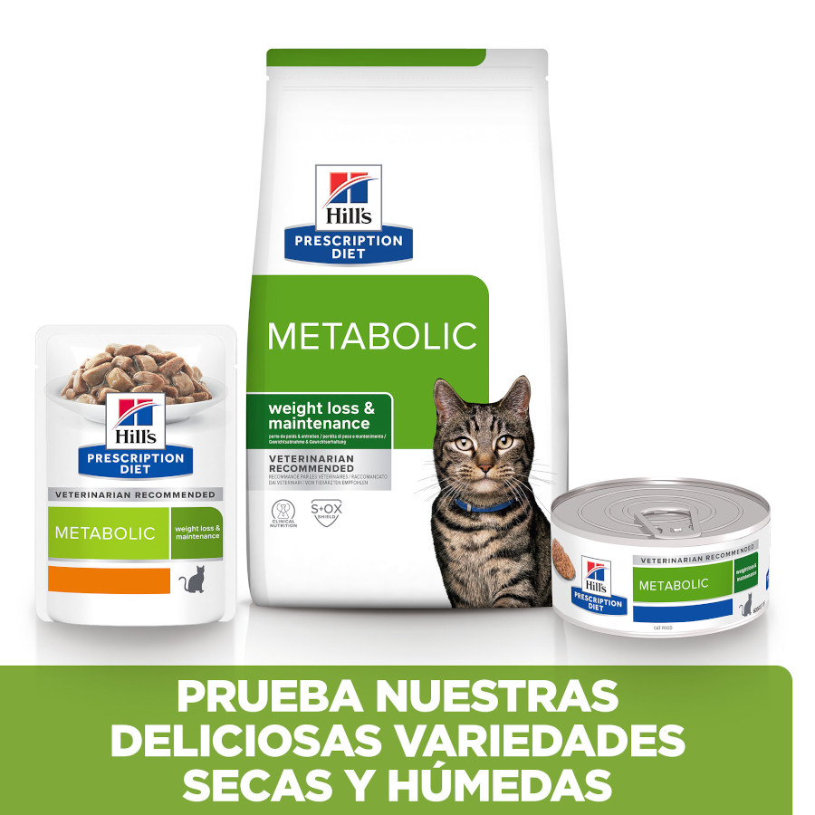 Hill's Prescription Diet Metabolic Chicken and Vegetable Stew (ensopado de frango e vegetais) em lata para gatos.