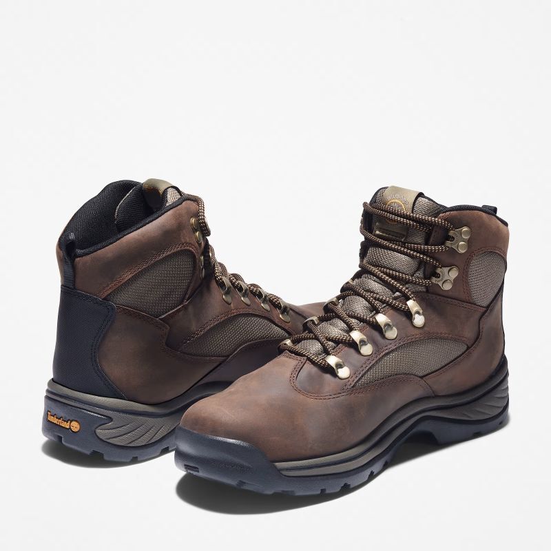 Chocorua Mid Waterproof - Chaussures randonnée homme
