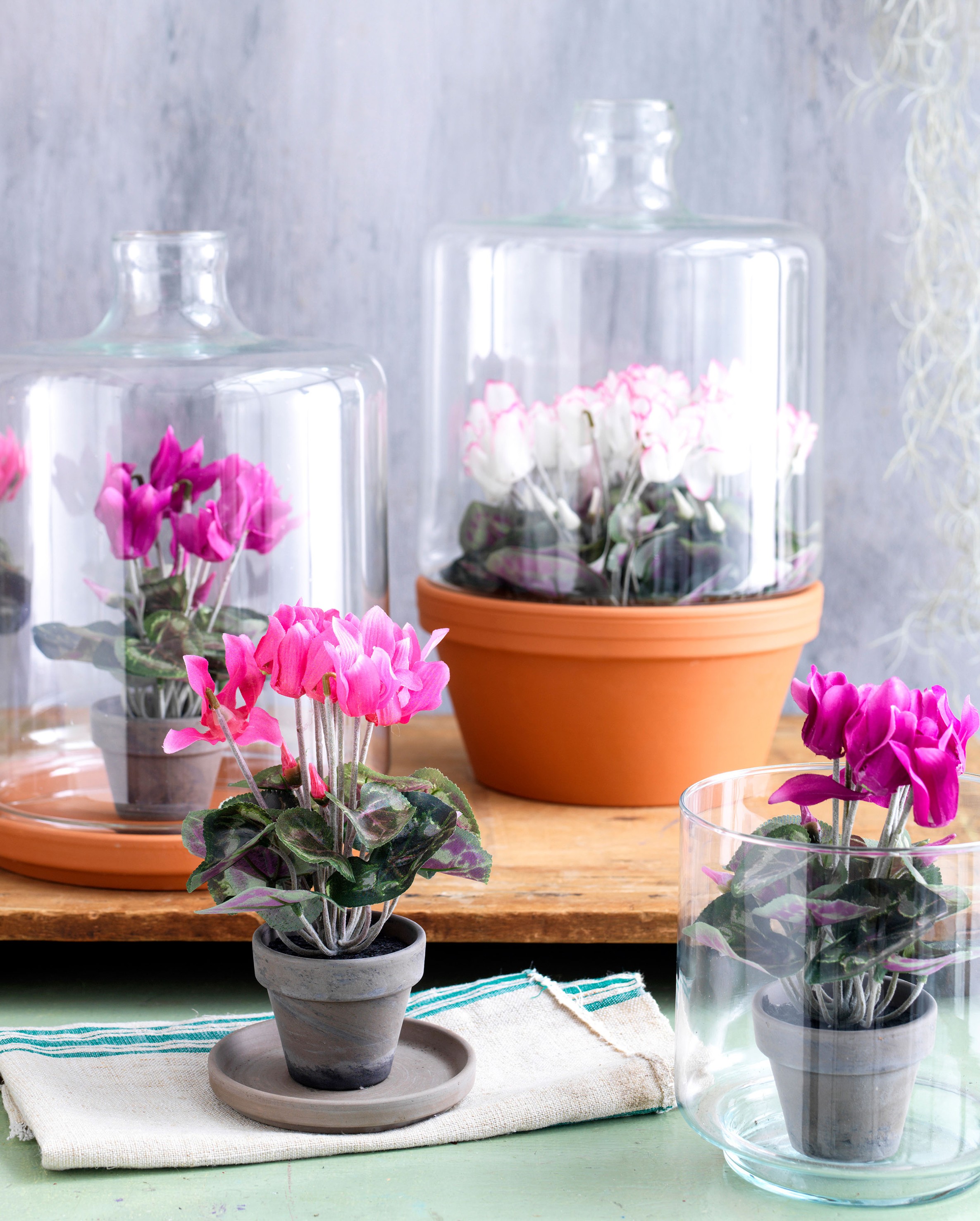 Mica decorations - cyclamen artificielle rose foncé en pot h30