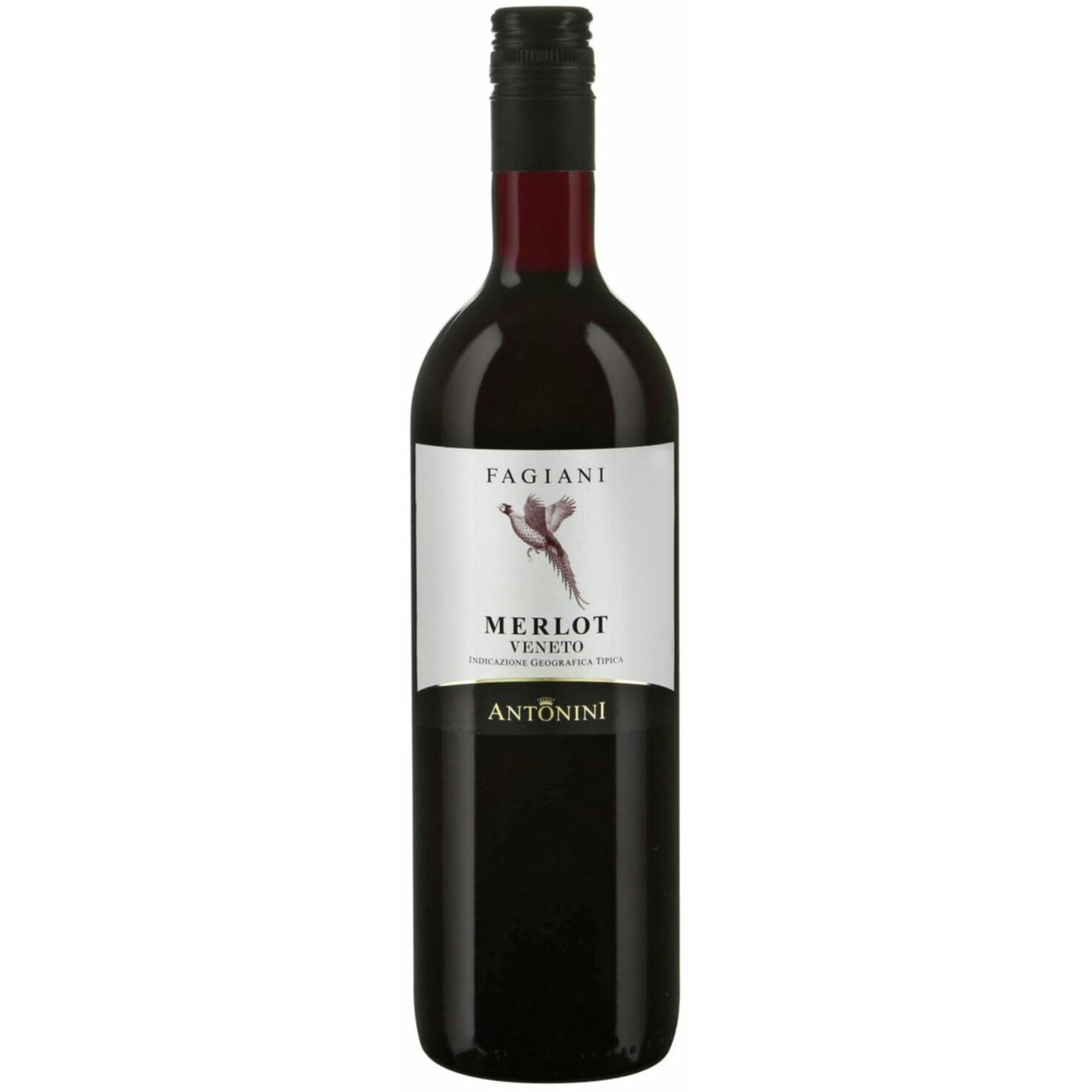Merlot Veneto Fagiani Antonini -75cl