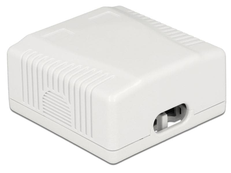 Delock Gehäuse RJ45 Cat.6A LSA 2-fach 2-Port Netzwerk-Anschlussdose