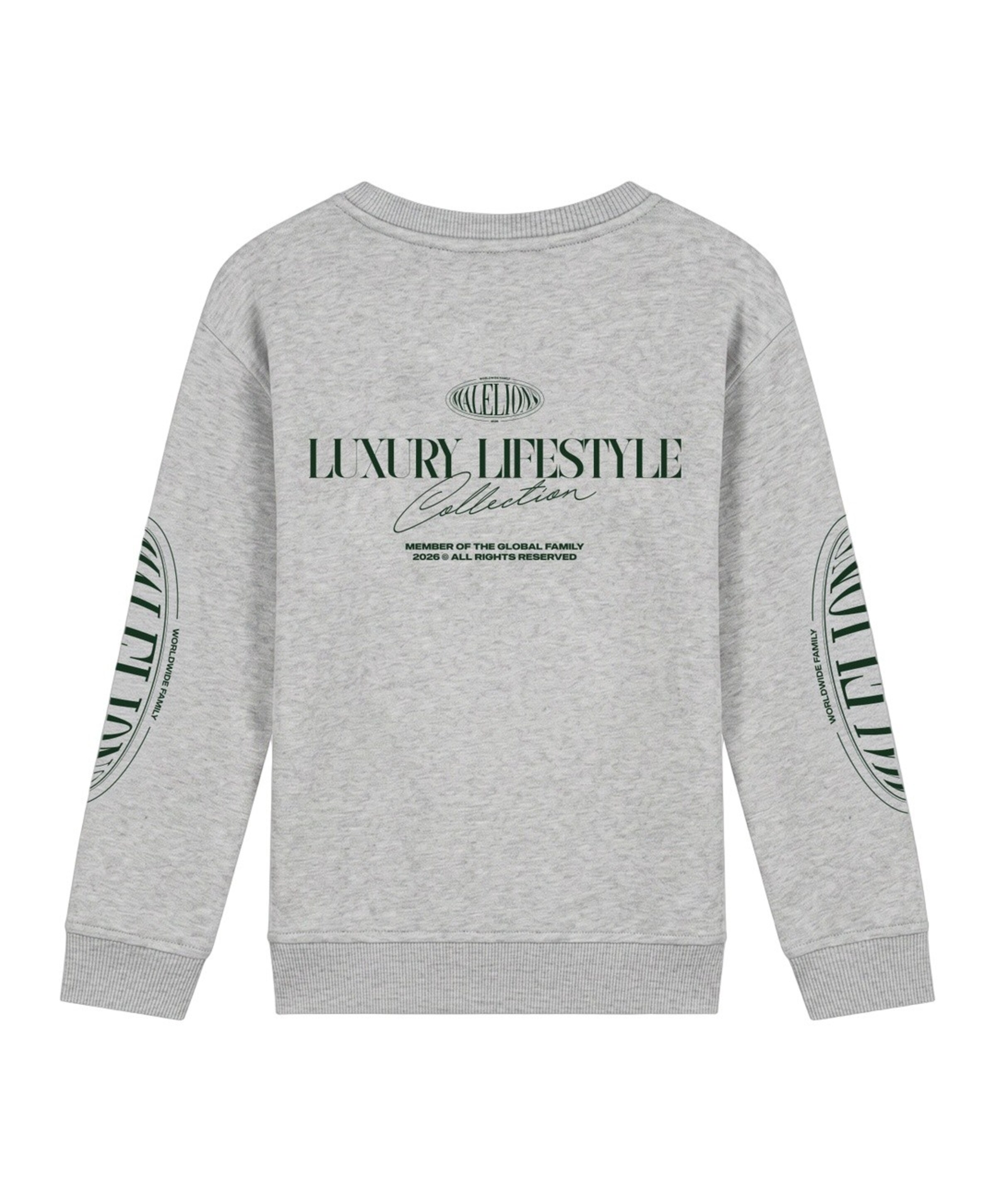 Malelions Jongens sweater grijs