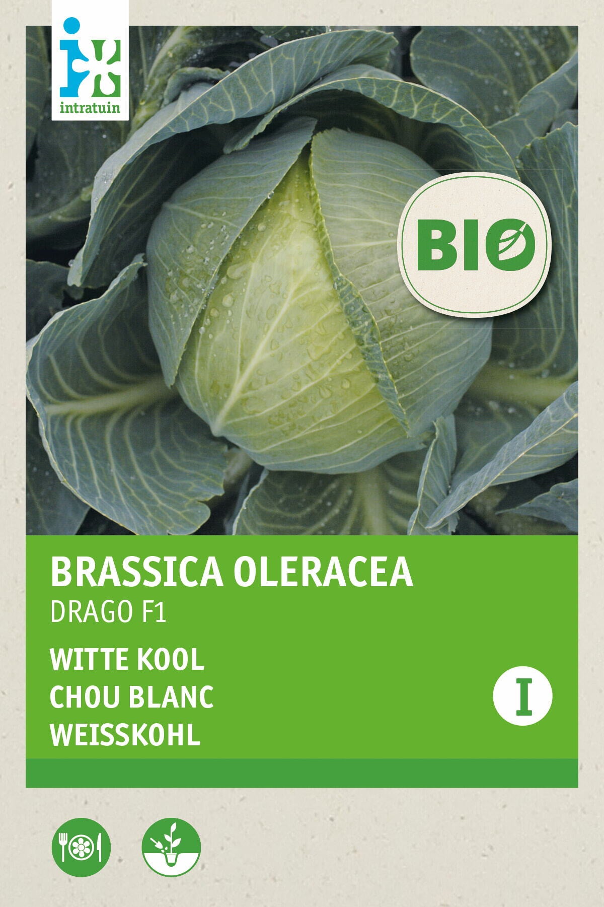 Intratuin bioloschie groentezaad Witte kool (Brassica oleracea 'Drago F1')