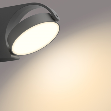 Philips wandlamp buiten Mimosa antraciet