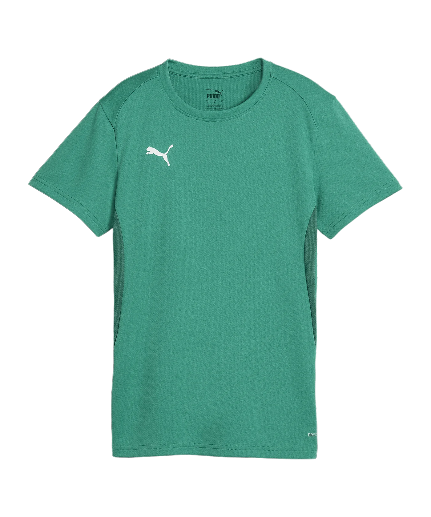 PUMA teamGOAL Trikot Damen Grün F05