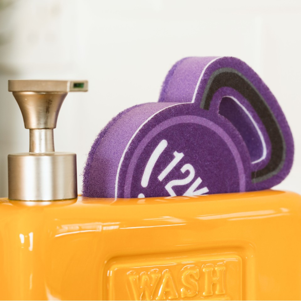Wash 'n' Workout Sponges Set of 2, with Scourer