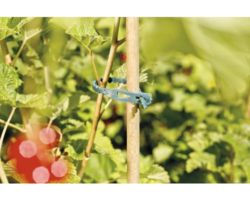 FloraSelf kunststof plantenbinders, 14 cm, 50 stuks