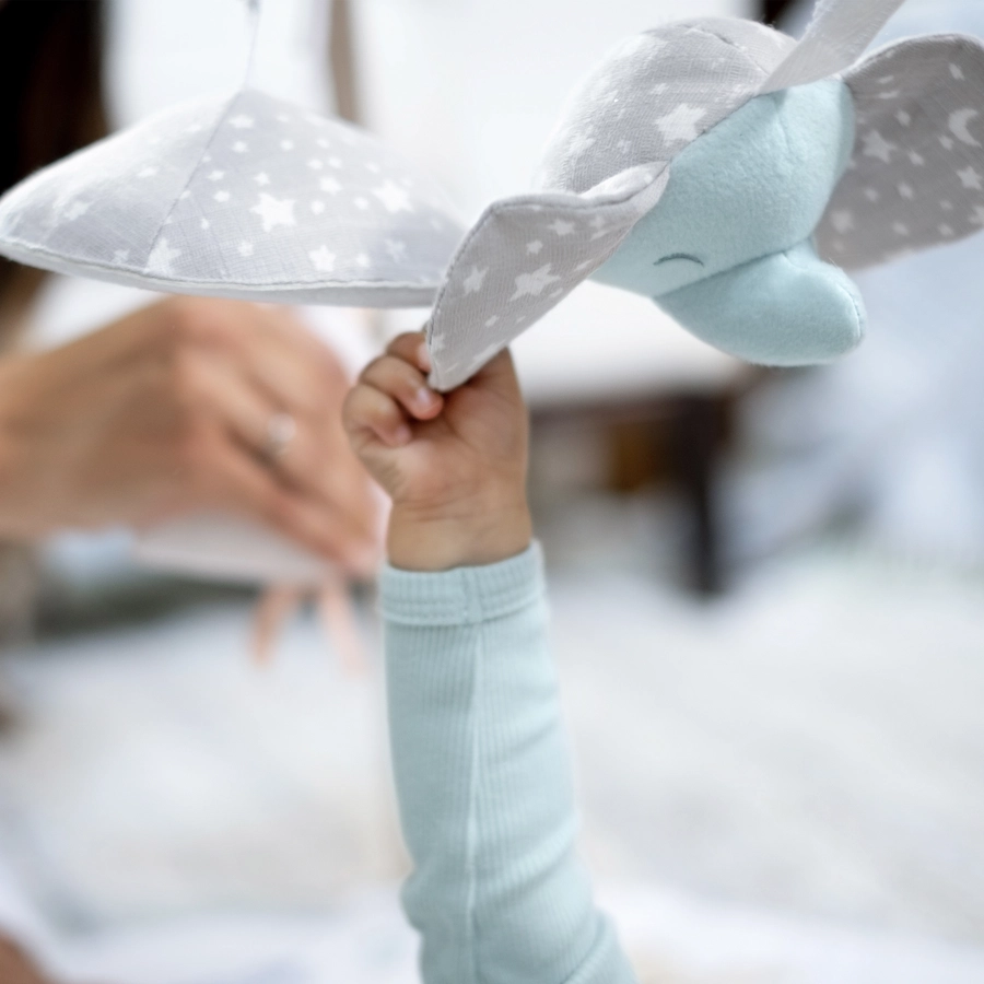 aden + anais™ Erlebnisdecke mit Spielbogen