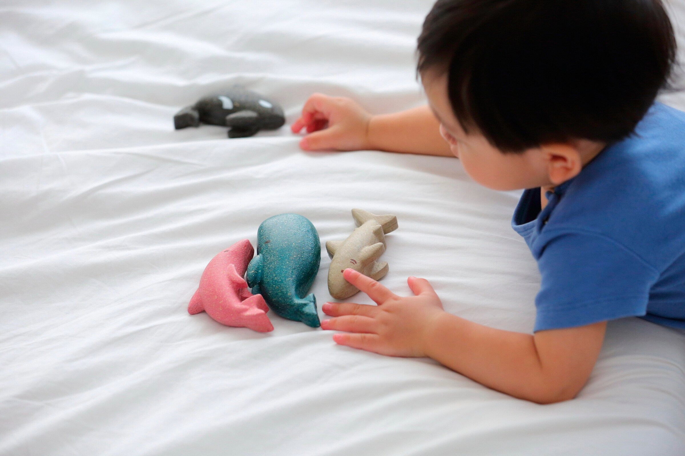 PlanToys Meerestiere-Set