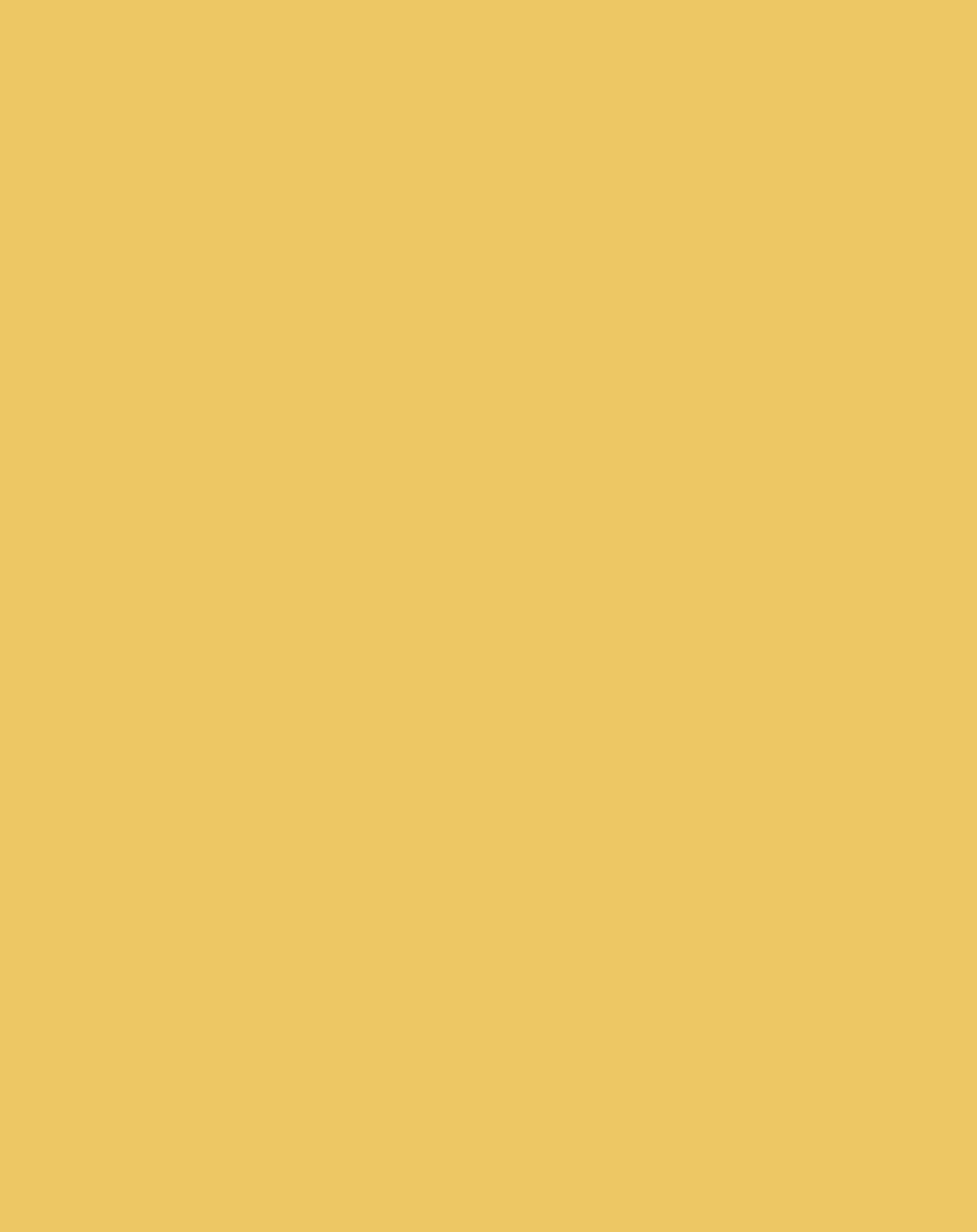 T-Shirt FUN in honiggelb