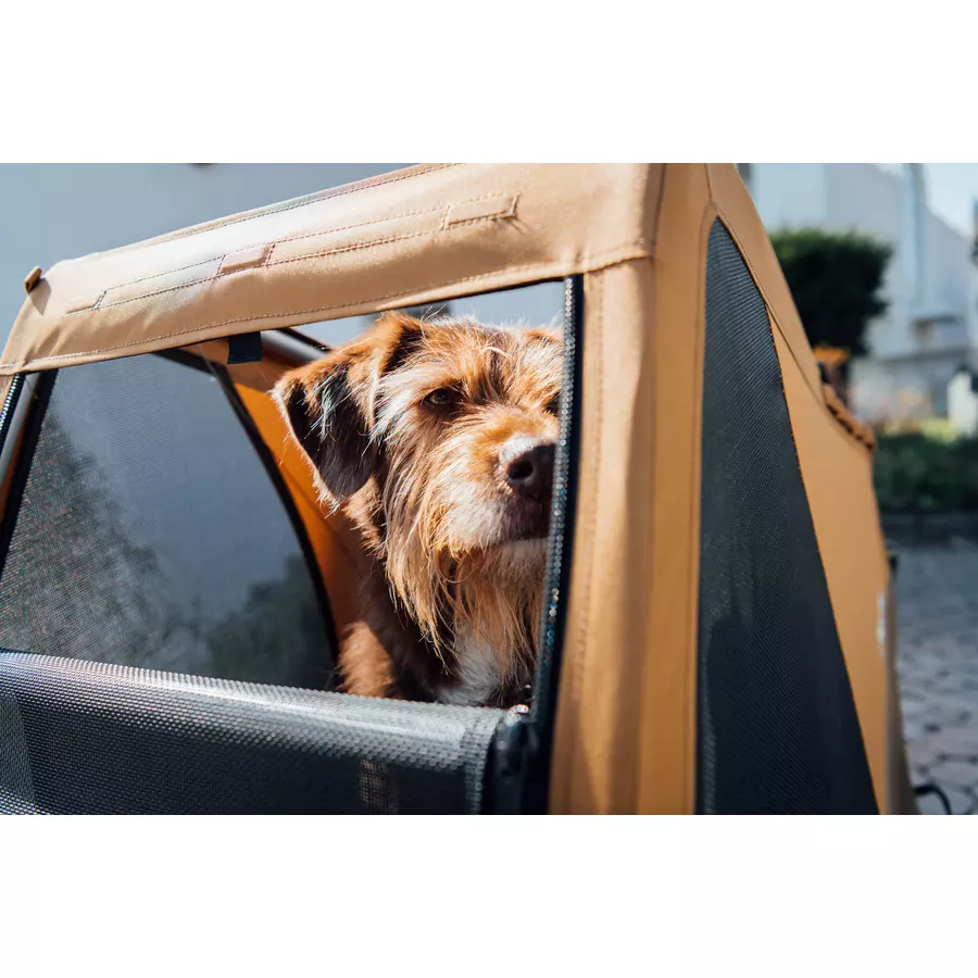 CROOZER Hundeanhänger Dog Mikke Colourful Journey