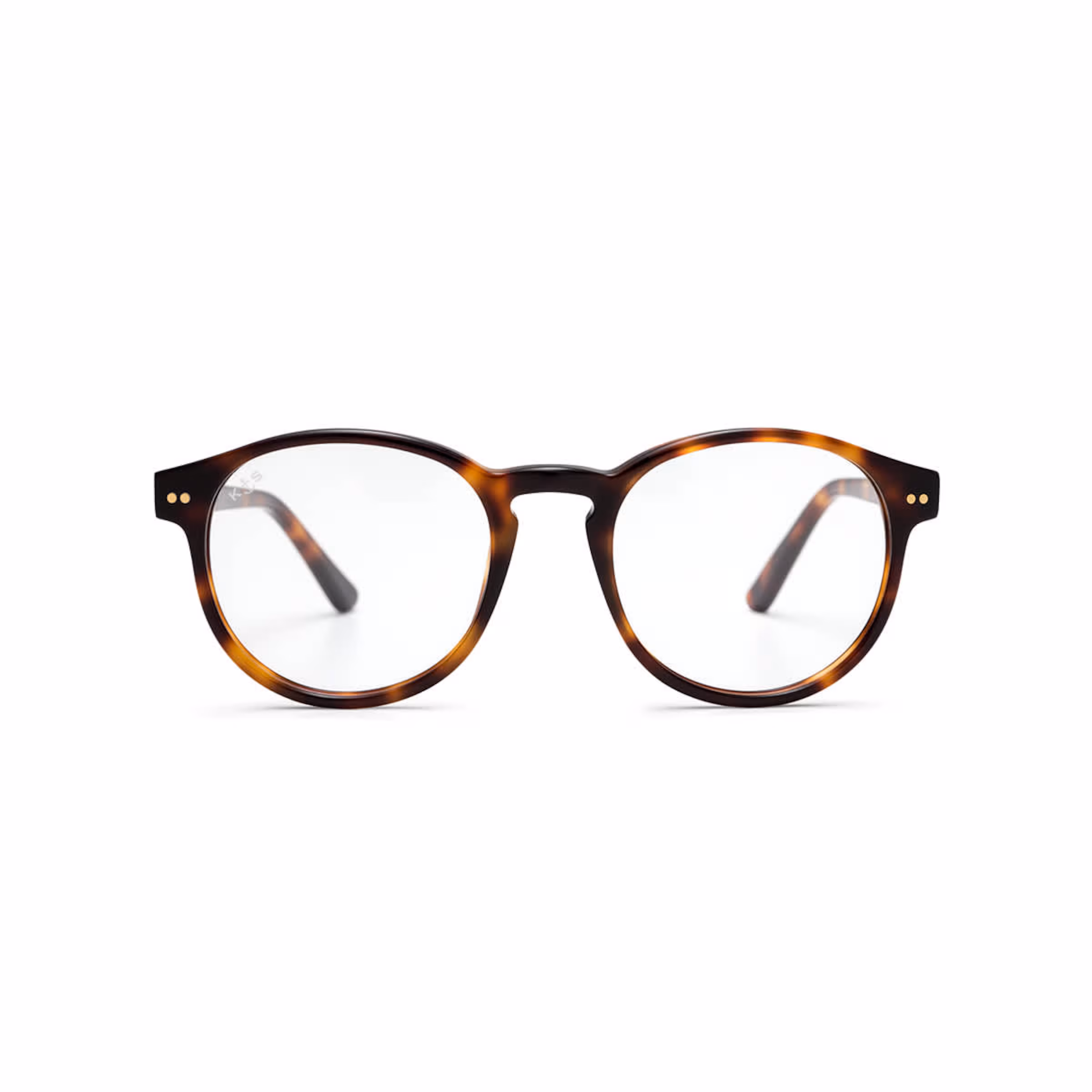 Marais Shine Tortoise