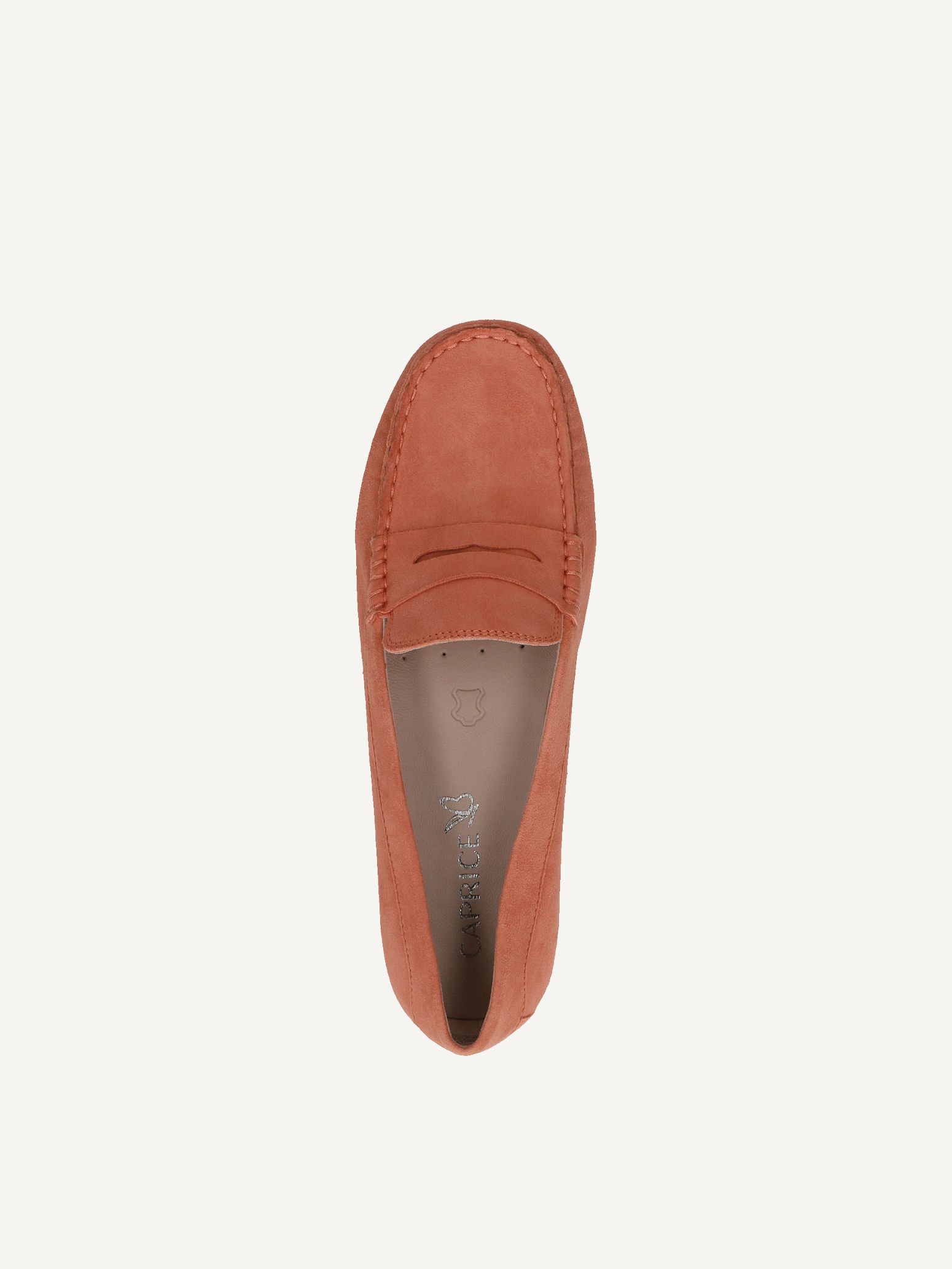 Moccassin