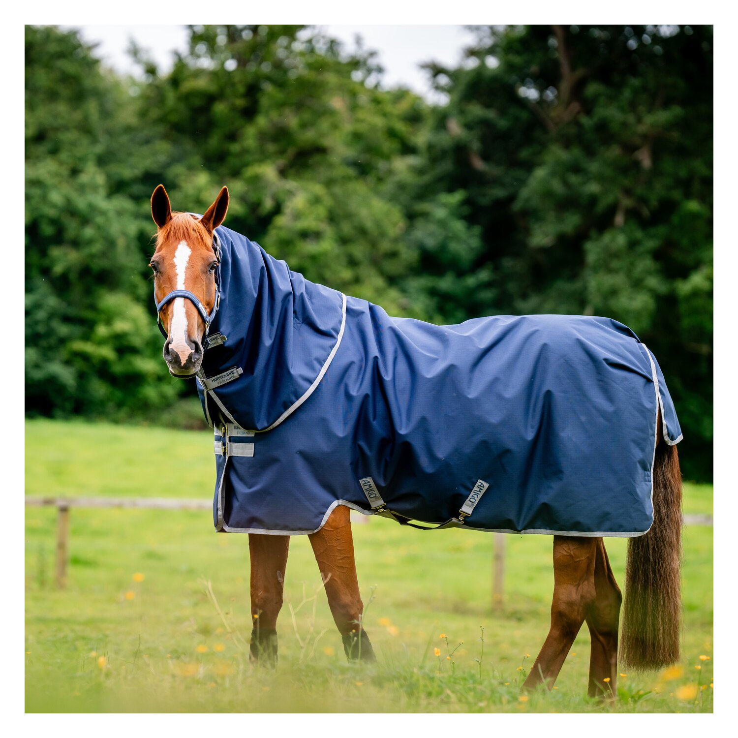 HORSEWARE Weidedecke AMIGO Ripstop 900 Denier, 200 g - navy/titanium grey