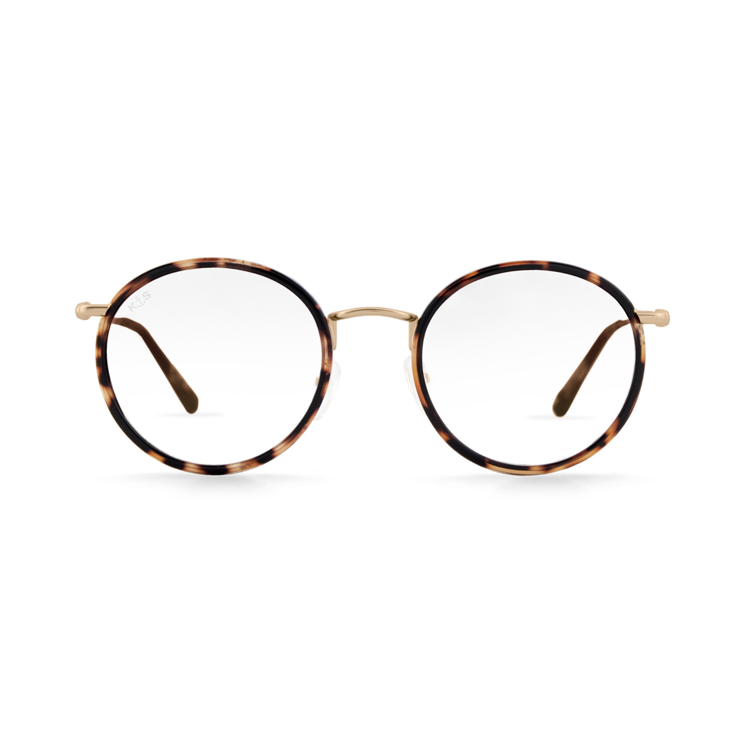 Amsterdam Umber Tortoise