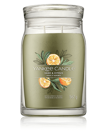 Yankee Candle Signature Sage & Citrus 567g
