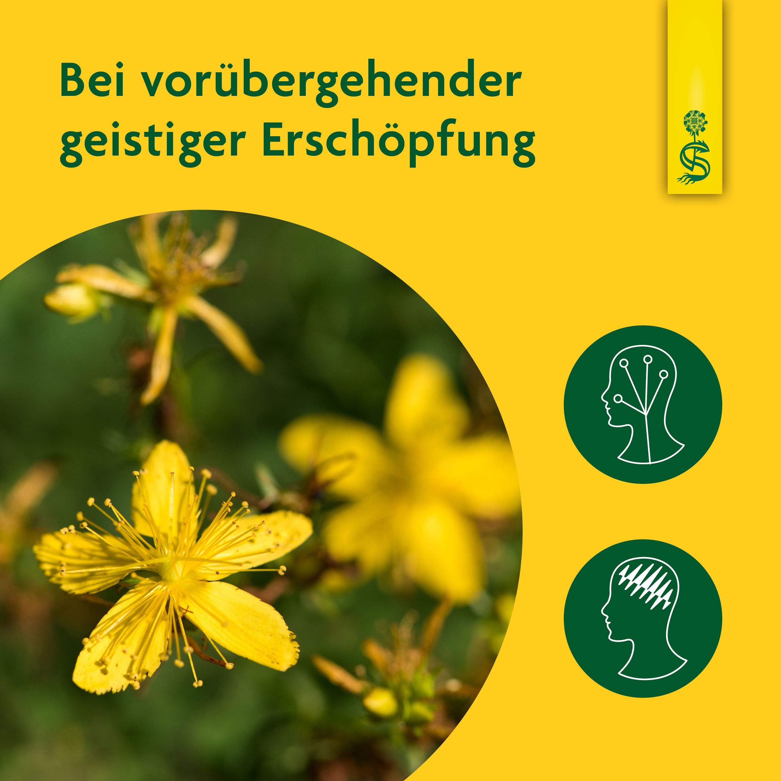 Schoenenberger® naturreiner Heilpflanzensaft Johanniskraut
