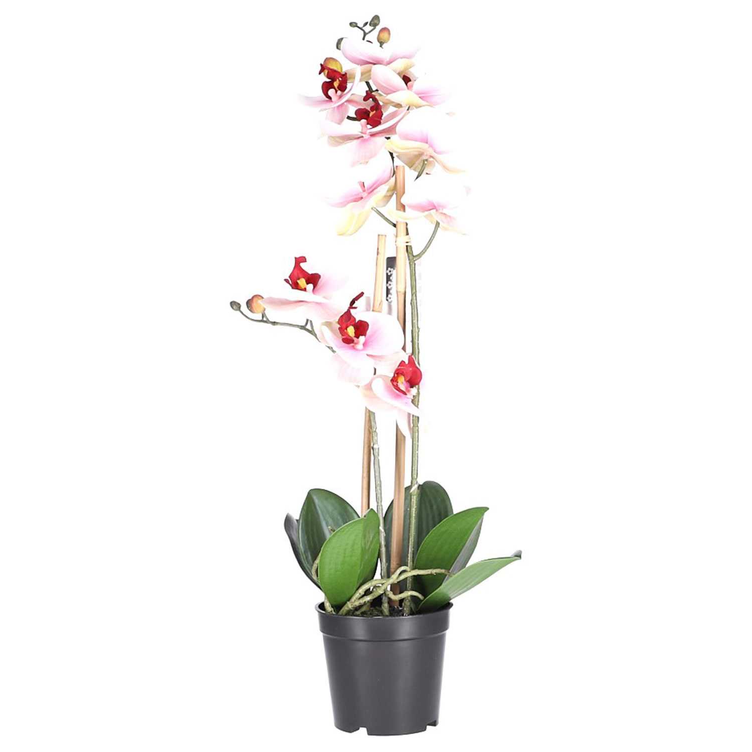 Kunstblume Orchidee im Topf