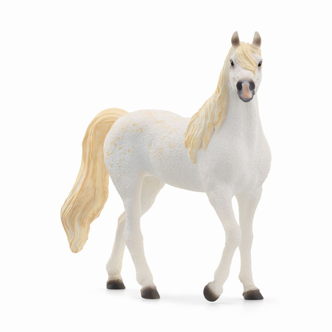 HORSE CLUB - Araber Stute