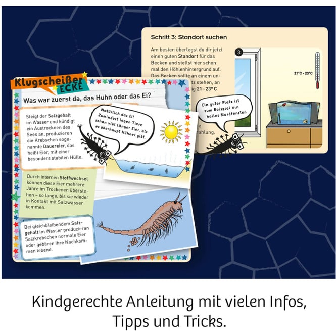 Fun Science - Wuselnde Salzkrebse