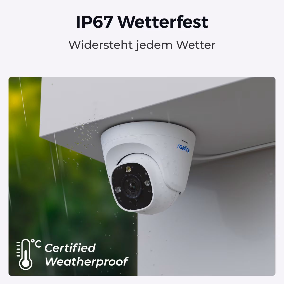 Reolink P344 PoE Cam