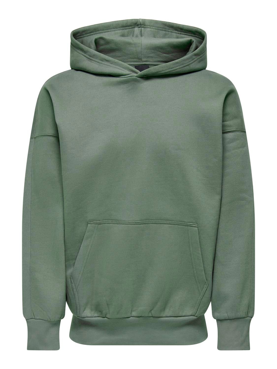 ONSDAN Sweatshirt Castor Gray