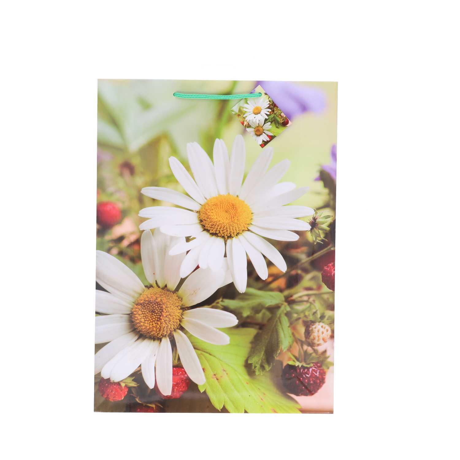 Geschenktüte Lack, XXL Blumen, A3