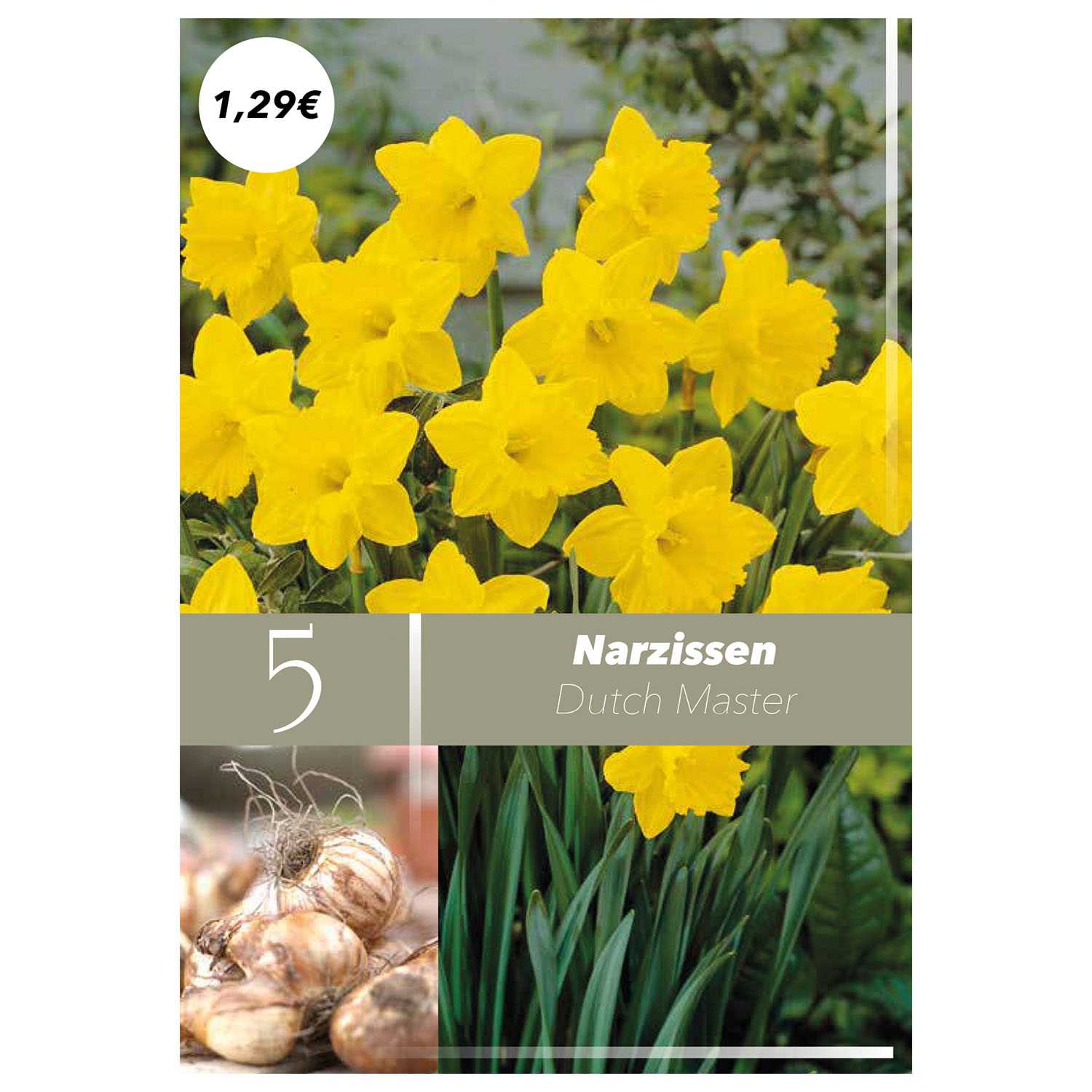 Blumenzwiebeln Herbst Nachfüller