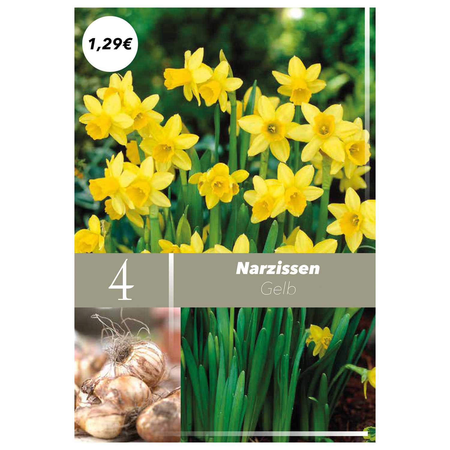Blumenzwiebeln Herbst Nachfüller