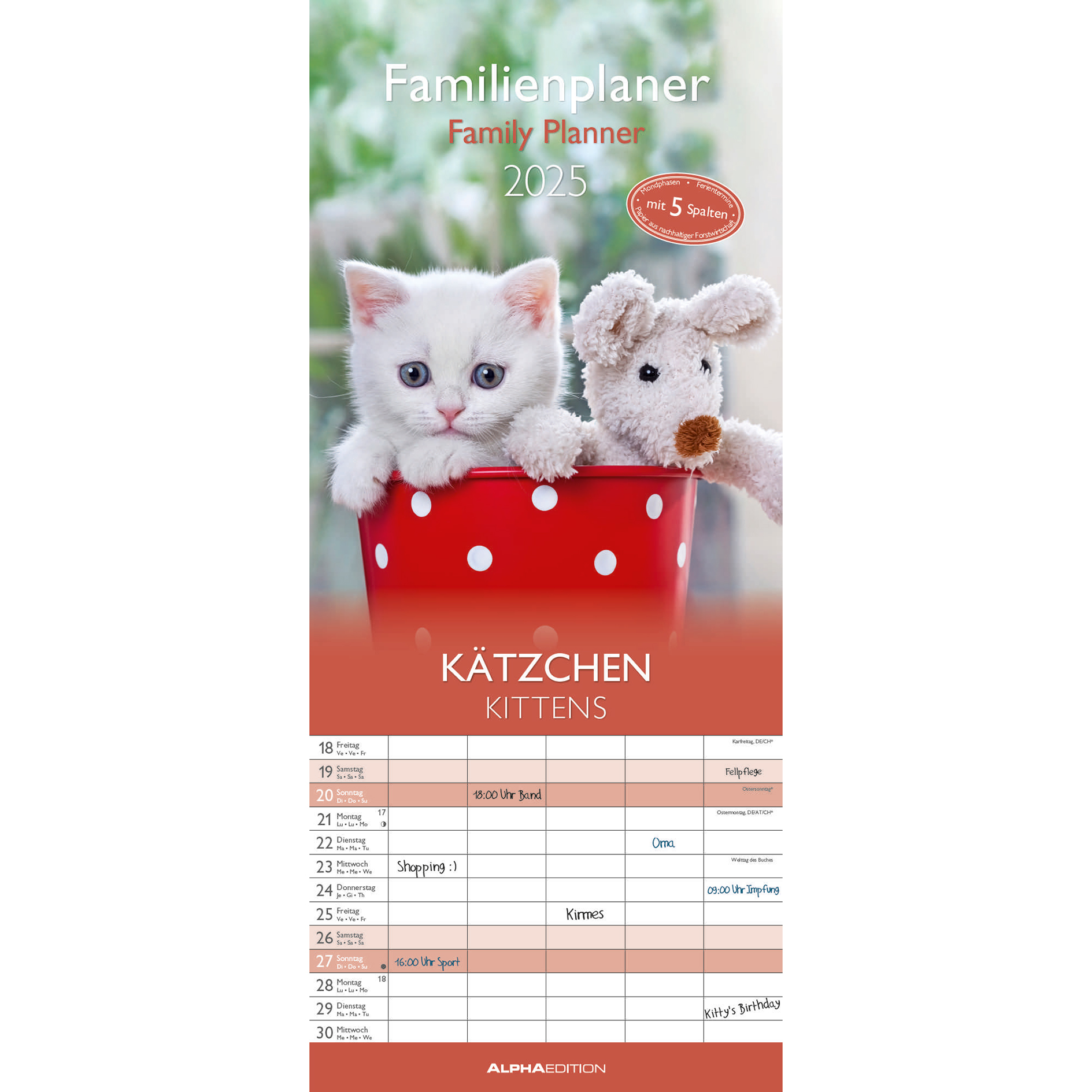 Familienplaner 2025 - Kätzchen - 19,5x45 cm