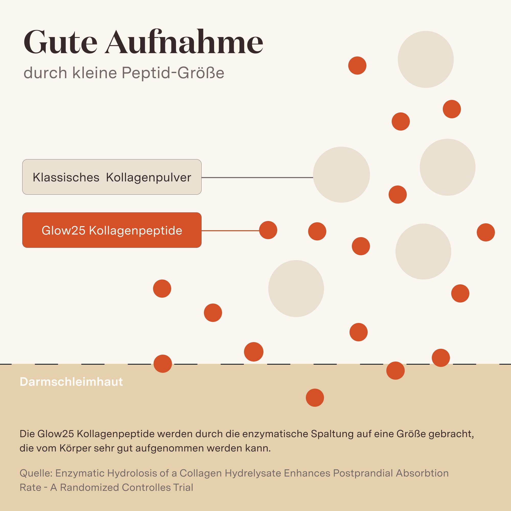Glow25® Kollagen Kapseln hochdosiert [180 Kapseln] mit Hyaluronsäure und Vitamin C