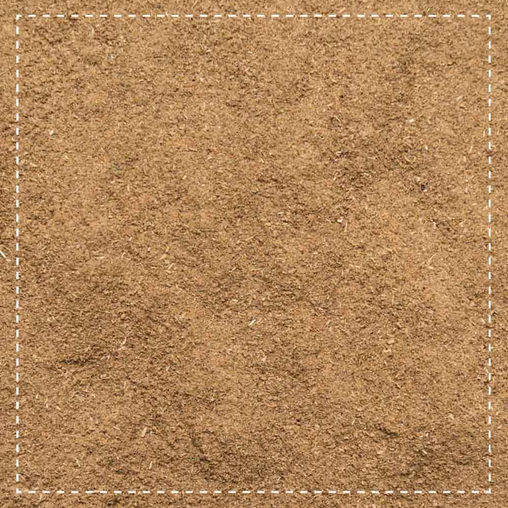 Biotiva Brahmi Pulver Bio