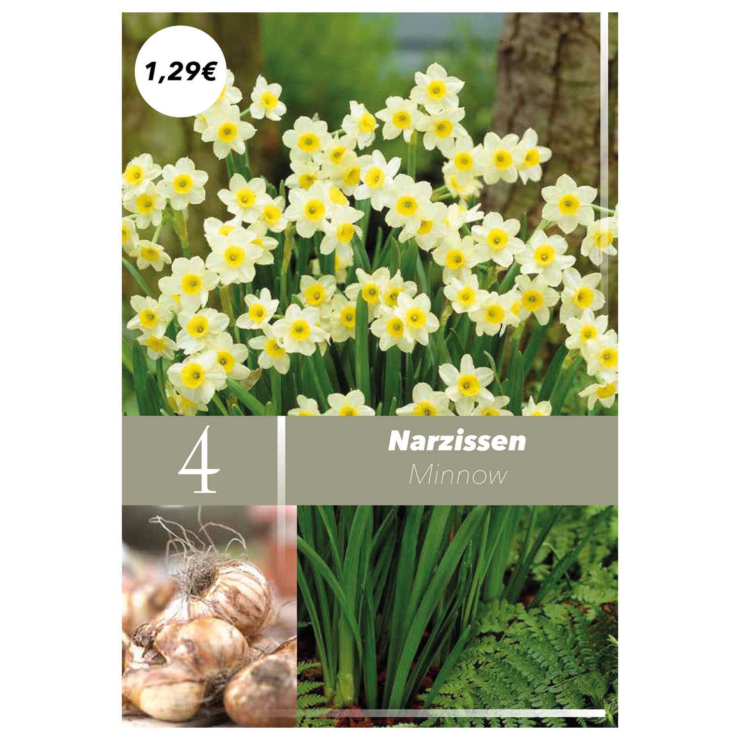 Blumenzwiebeln Herbst Nachfüller