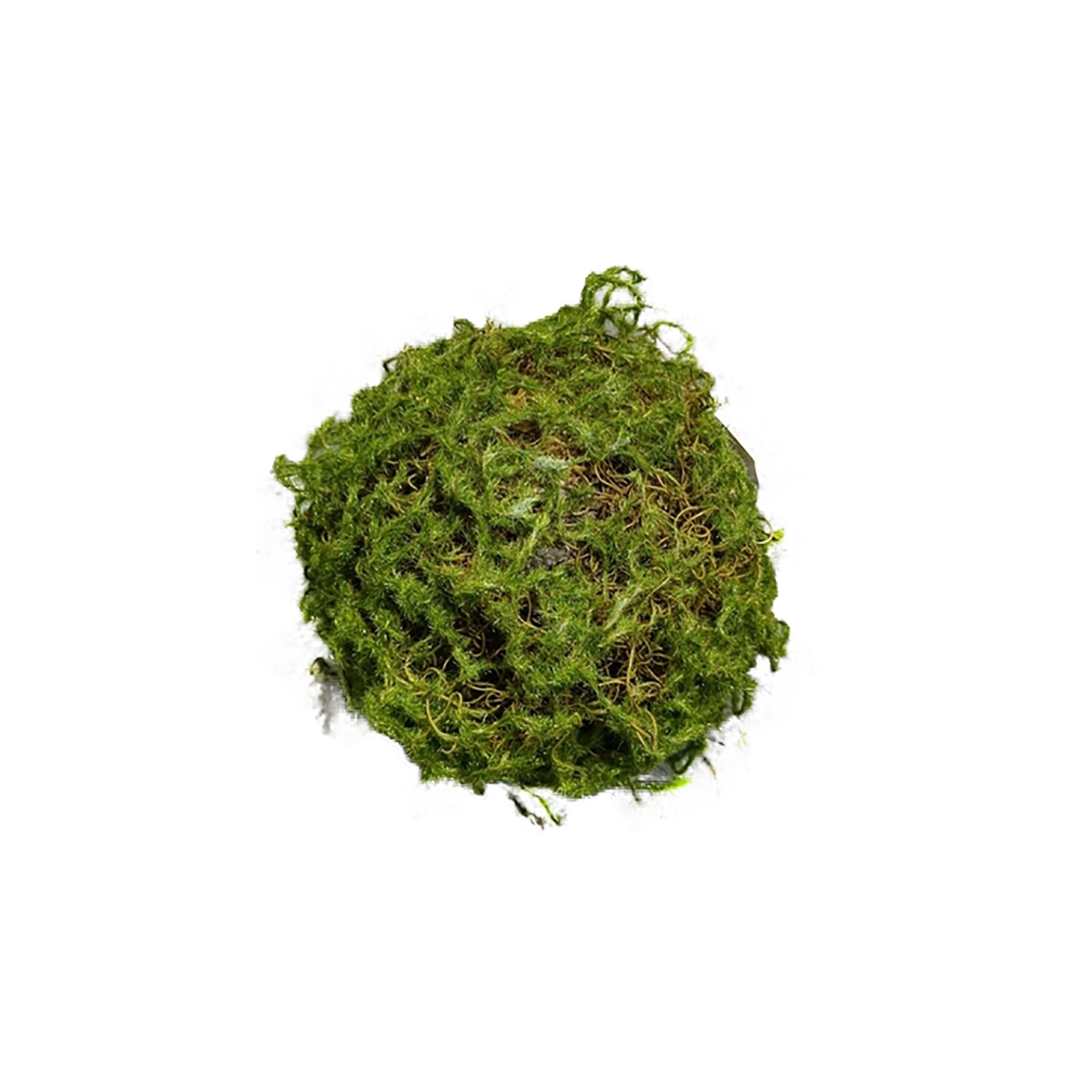 HTI-Living Mooskugel 18 cm Kunstpflanze Flora