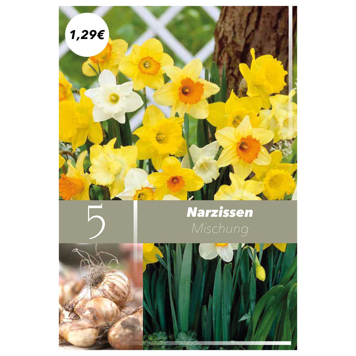 Blumenzwiebeln Herbst Nachfüller