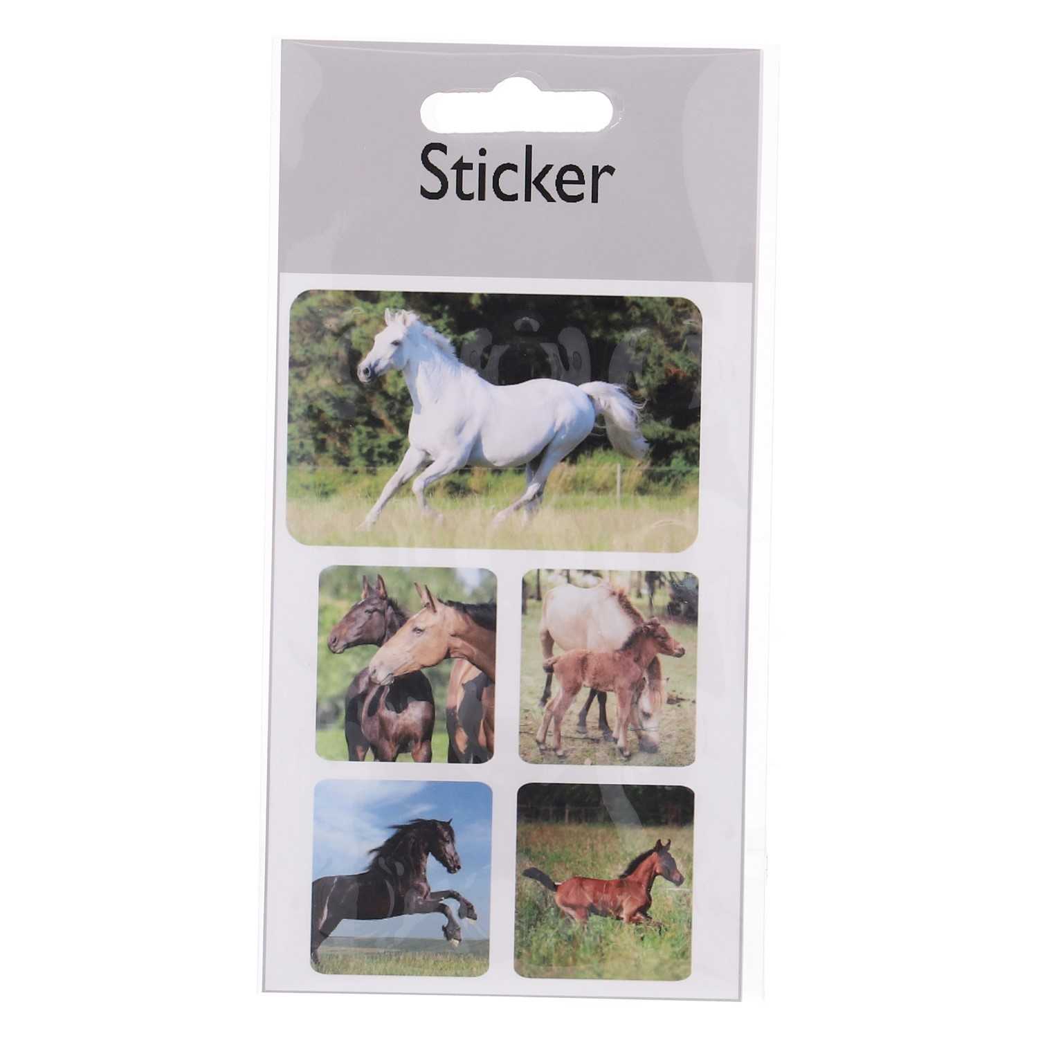 Sticker Laser mit Tieren 8fach