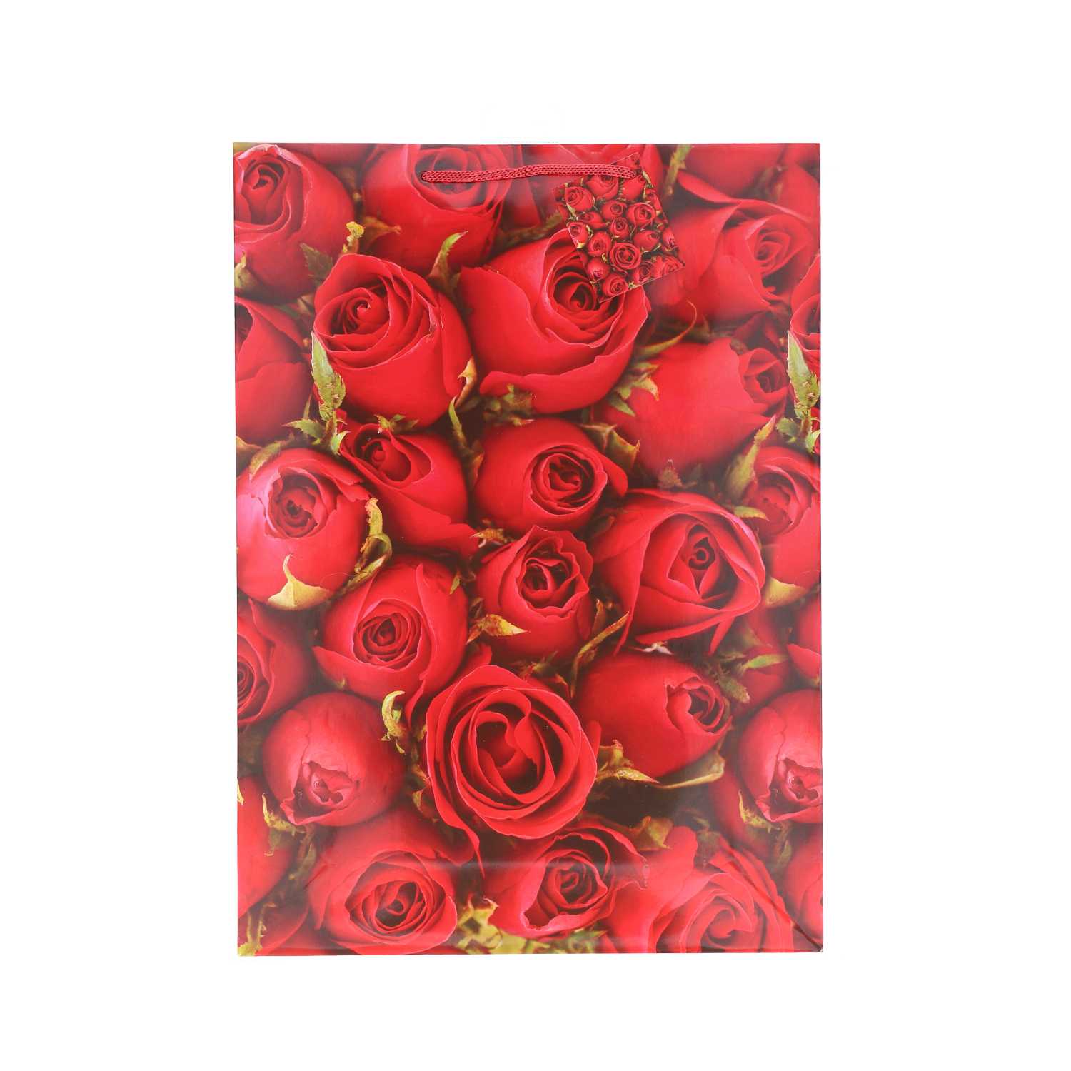 Geschenktüte Lack, XXL Blumen, A3