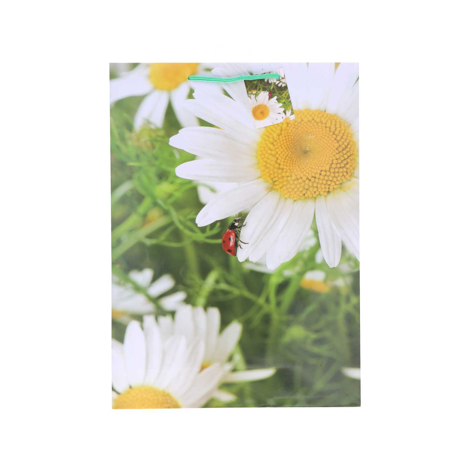 Geschenktüte Lack, XXL Blumen, A3