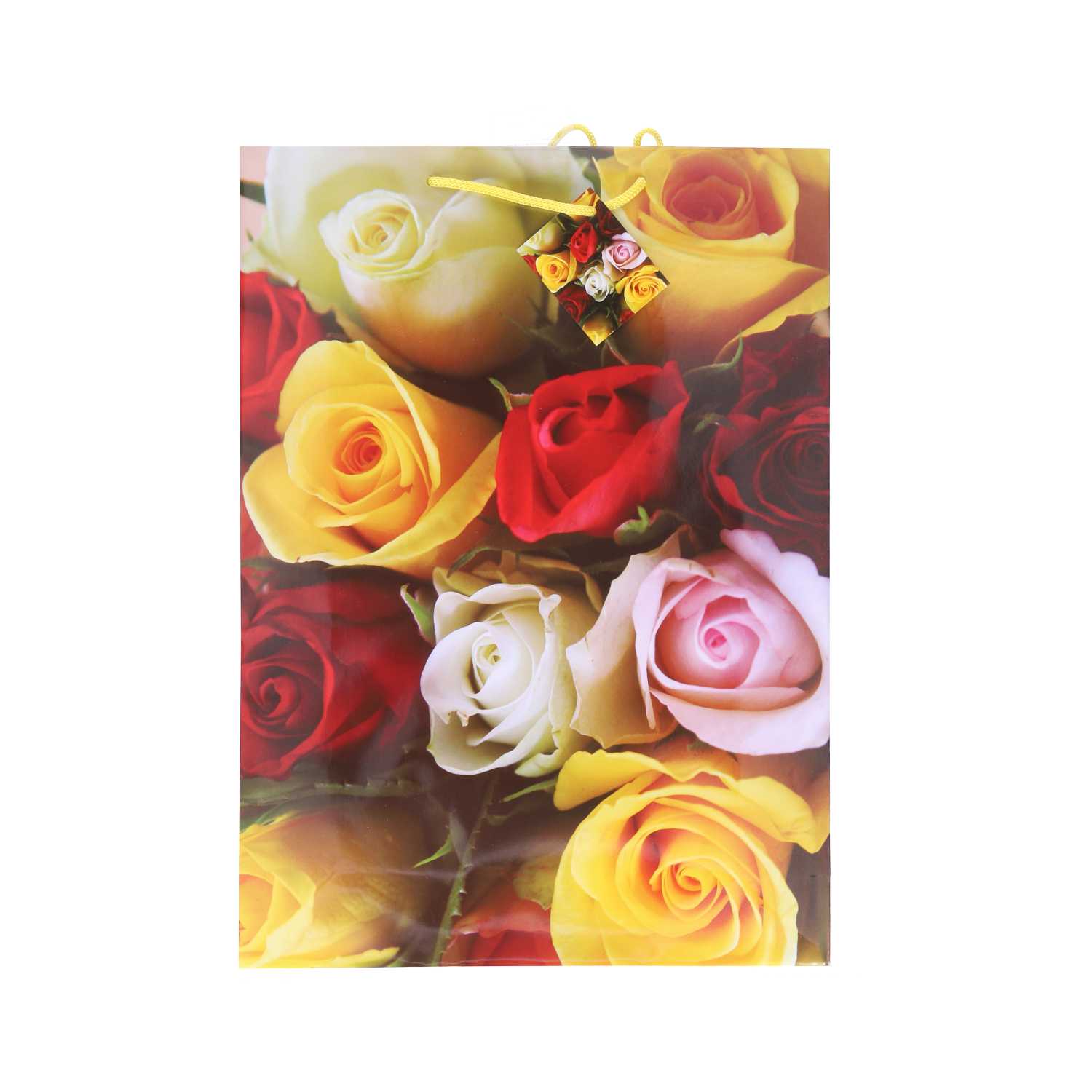 Geschenktüte Lack, XXL Blumen, A3