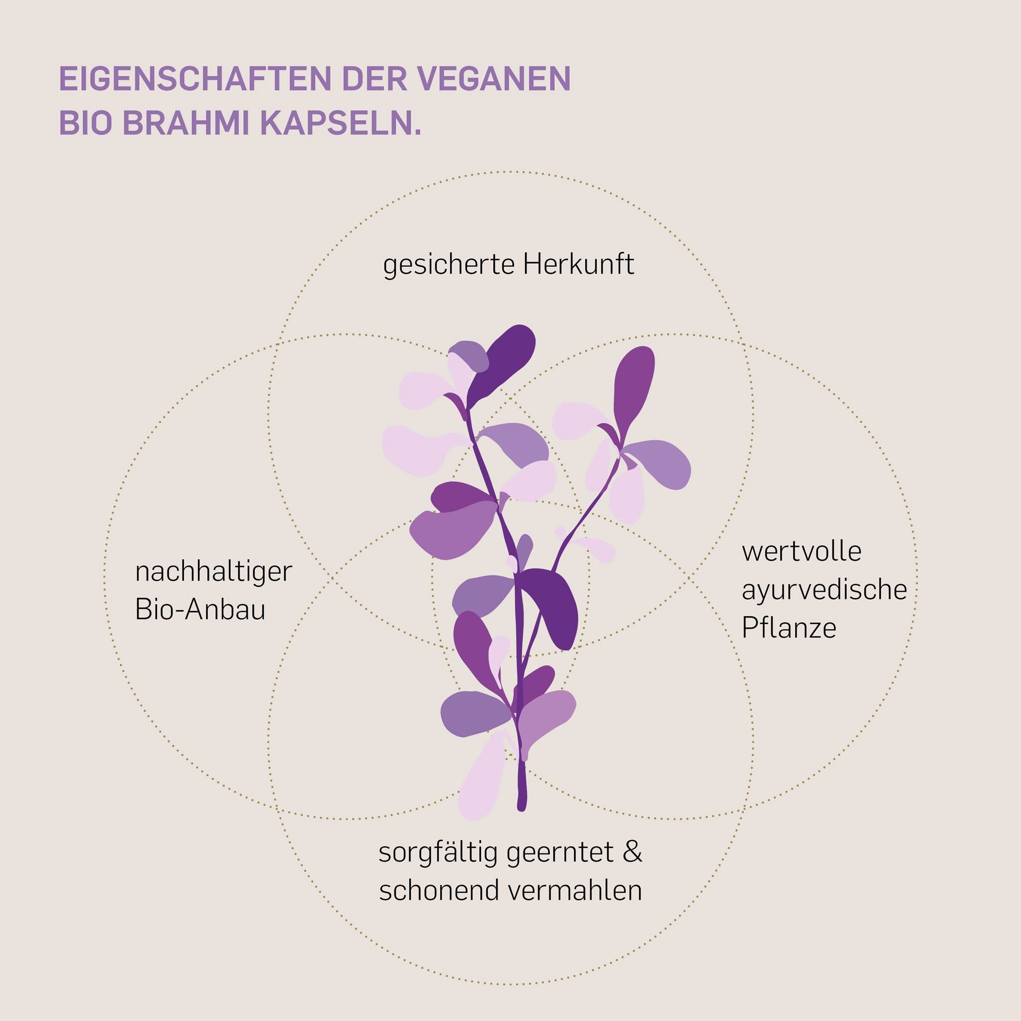 Kurkraft© Bio Brahmi