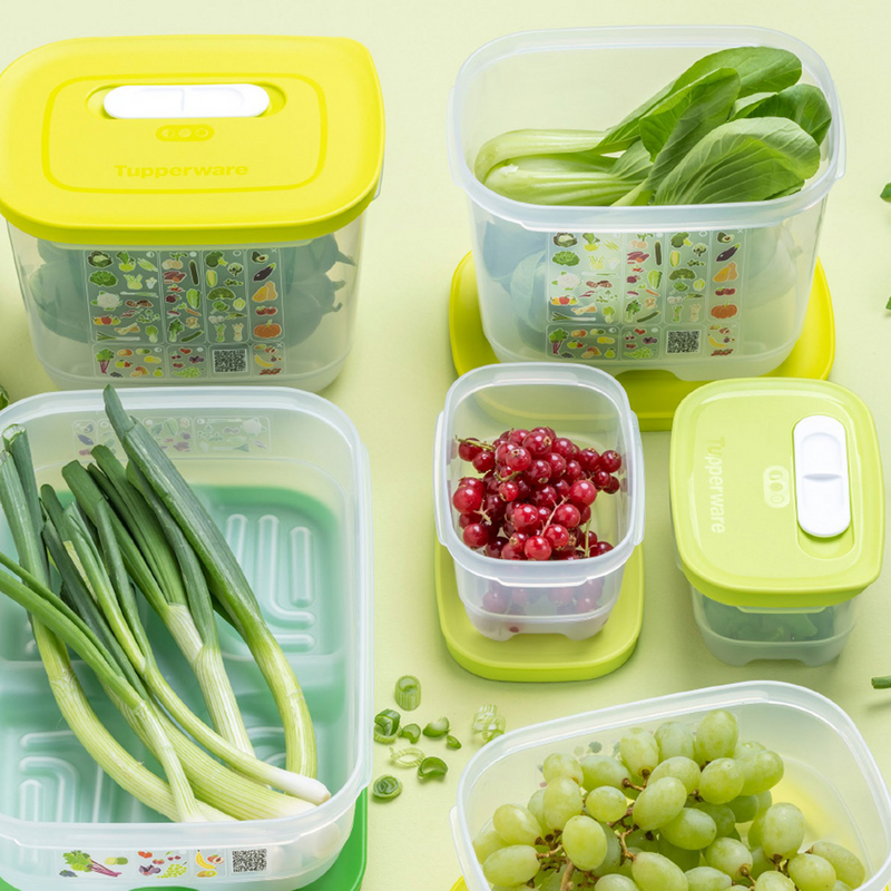 KlimaOasen-Set (5) Grundausstattung zum Frischhalten von Gemüse, Obst und Kräuter