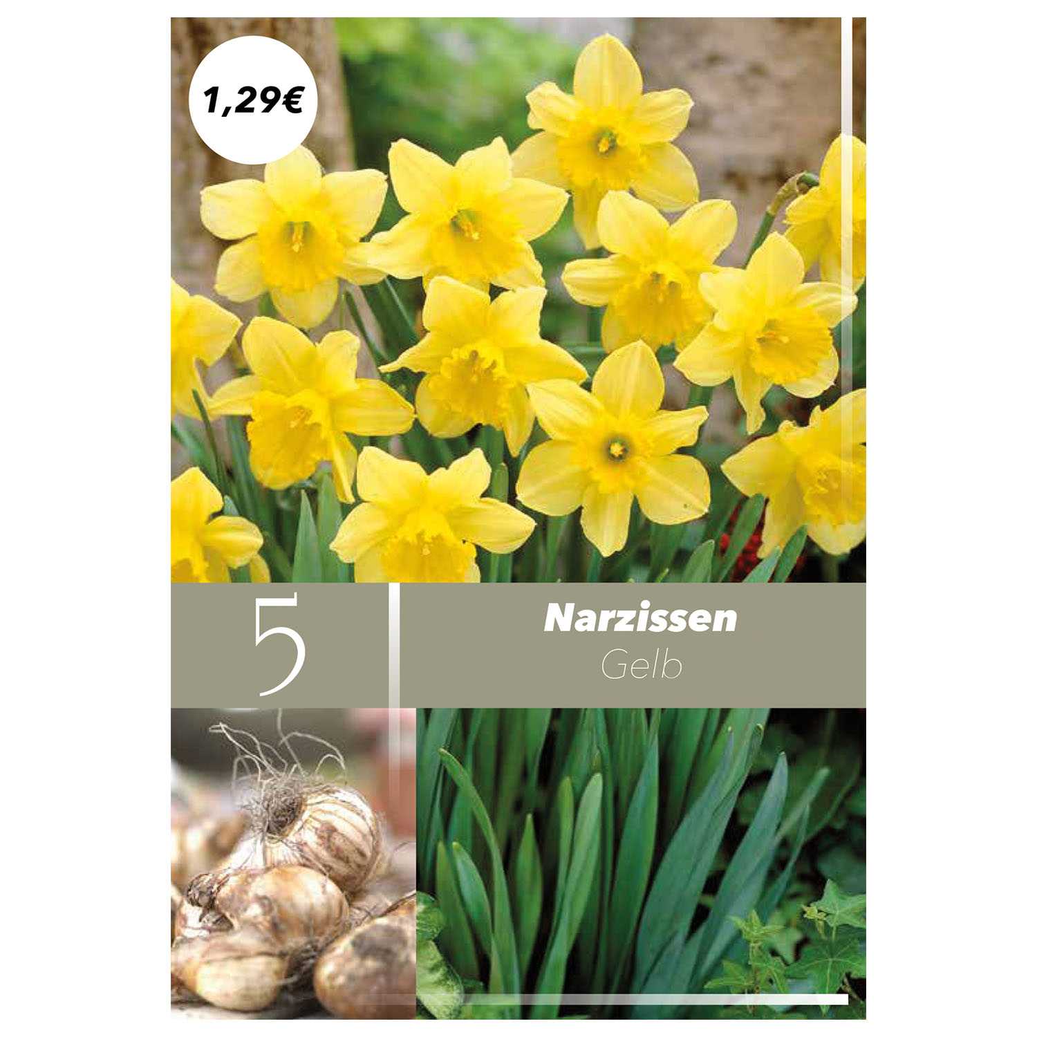 Blumenzwiebeln Herbst Nachfüller