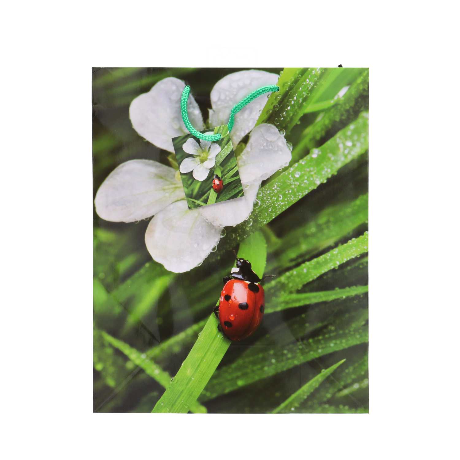 Geschenktüte Lack, groß Blumen, A4