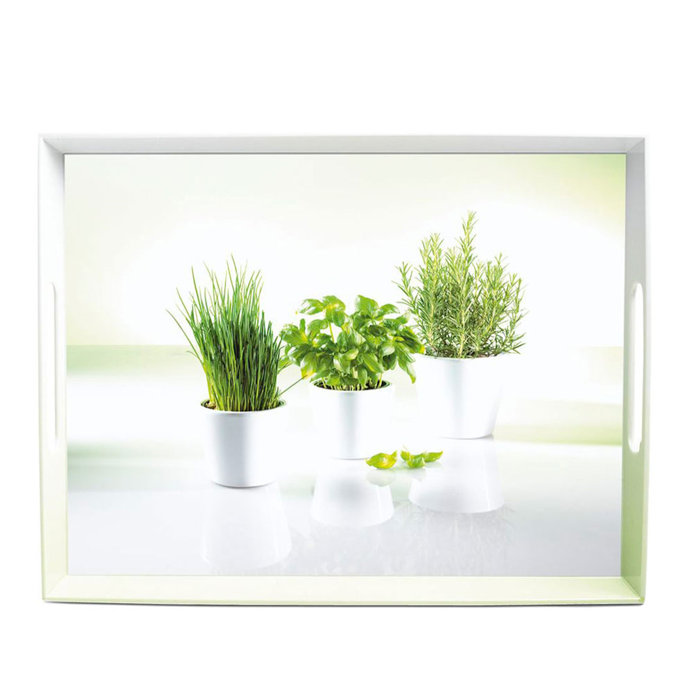 CLASSIC Tablett Herbs