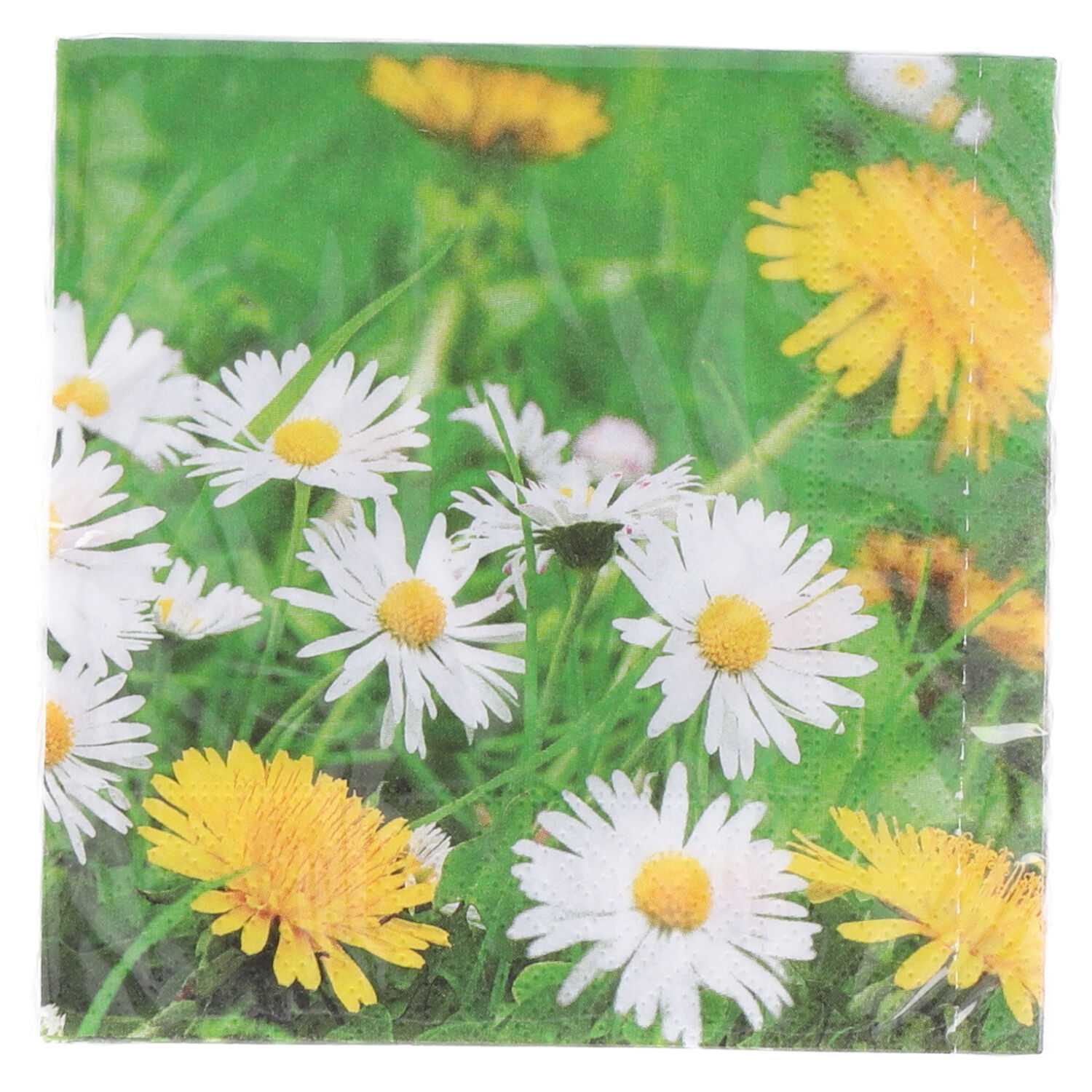Servietten 20er 25x25cm Mageriten