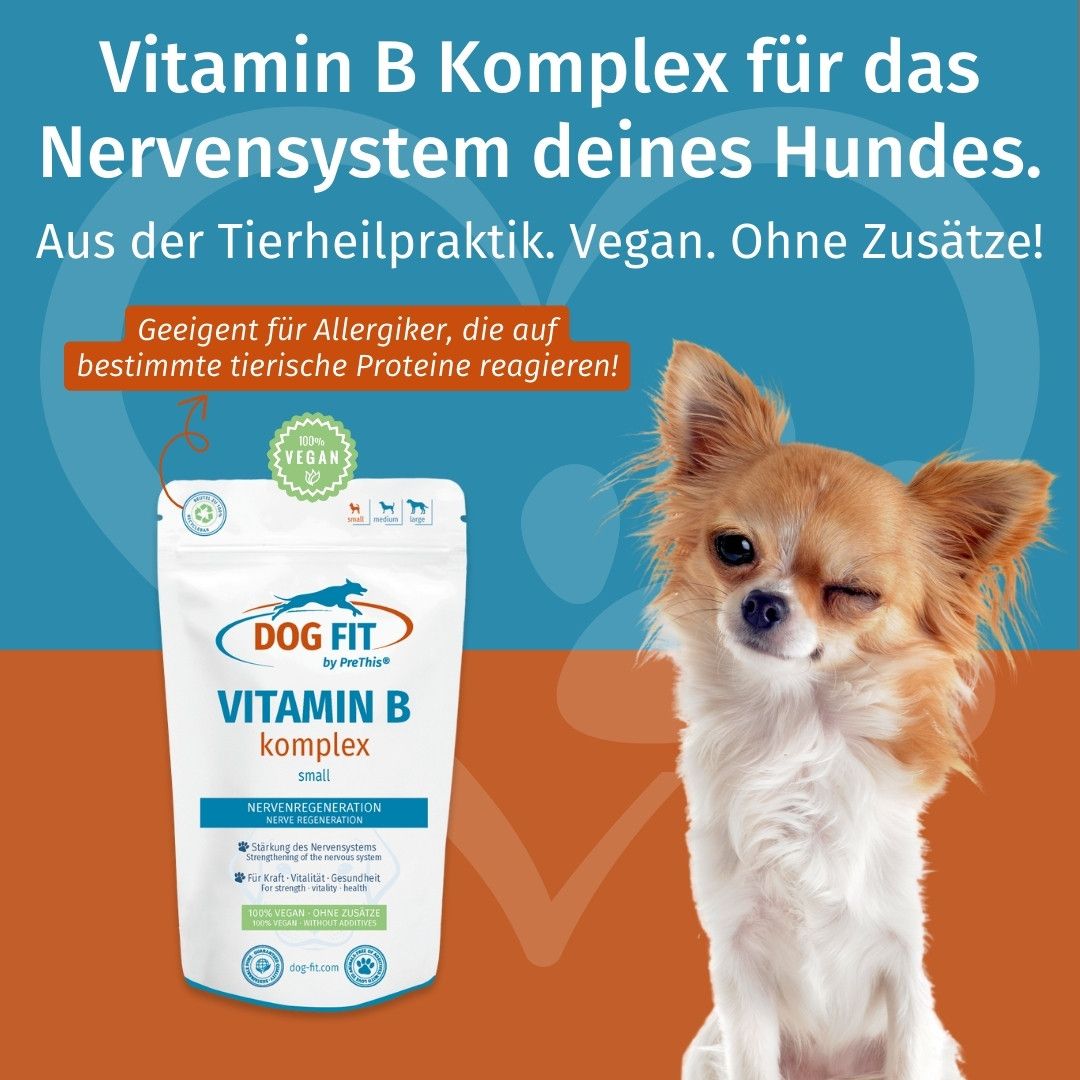 DOG FIT by PreThis® VITAMIN B für Hunde » Nerven, Inkontinenz, Bandscheibenvorfall (small)