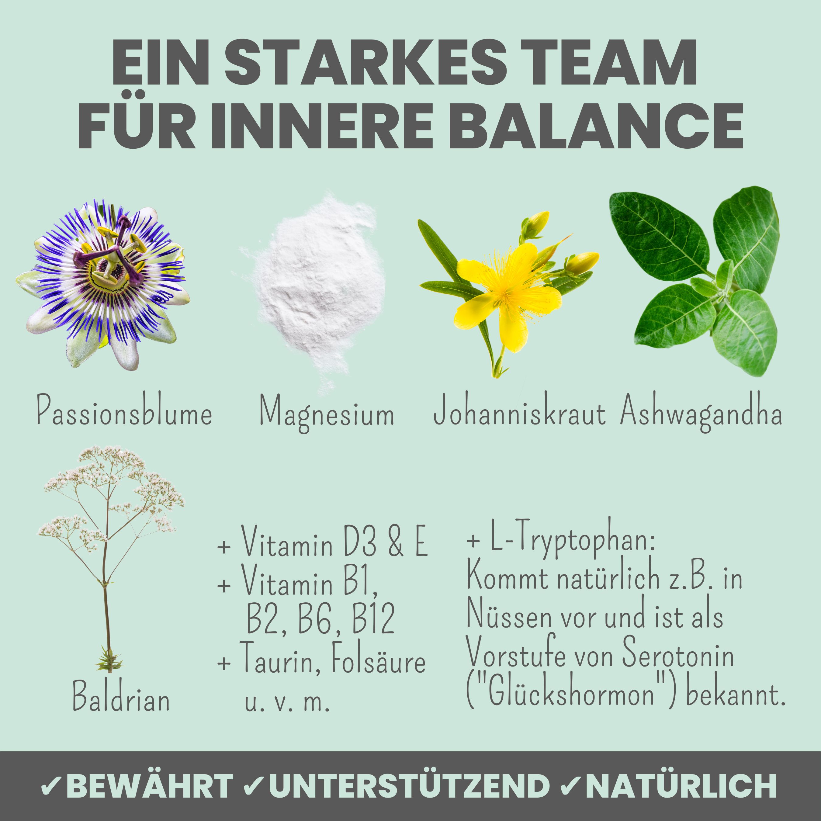 noms+ Wohlfühltabs für Hunde bei Stress, Angst, Unruhe und Hyperaktivität