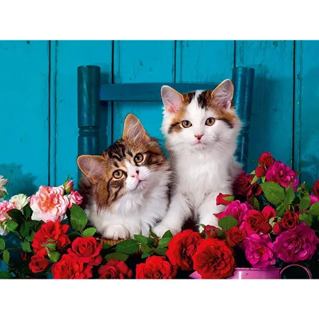 Ravensburger Puzzle - Katzenbabys, 500 Teile