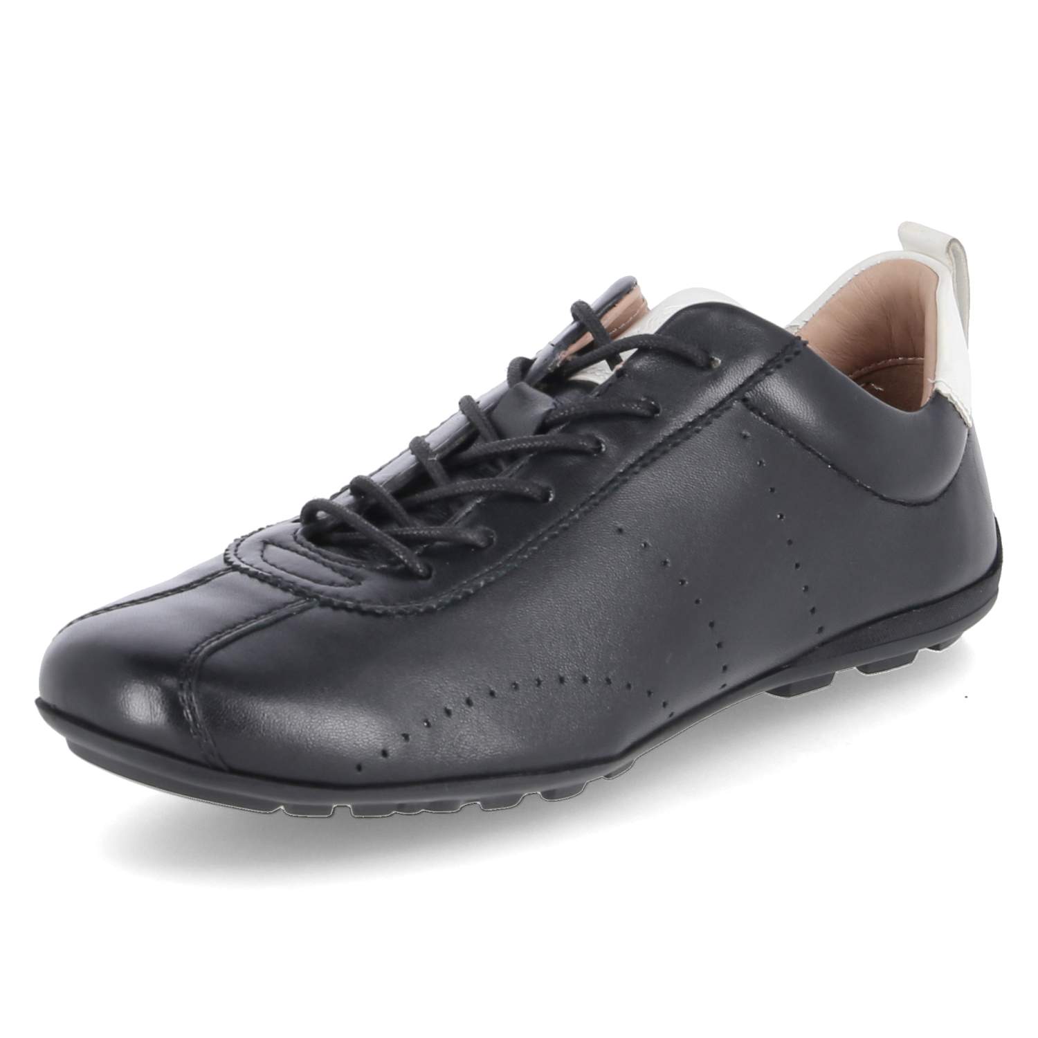 Salamander Low Sneaker - black / white