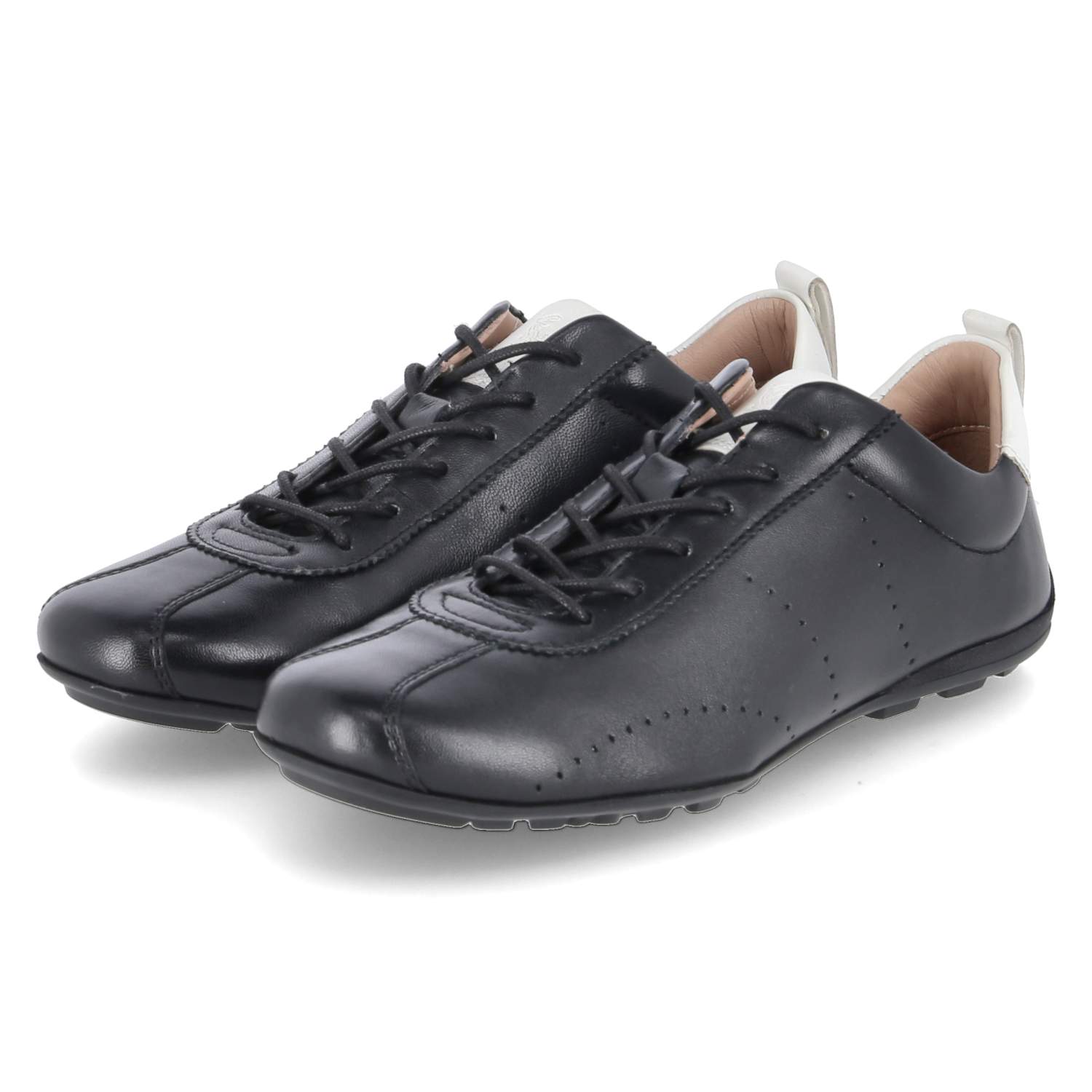 Salamander Low Sneaker - black / white